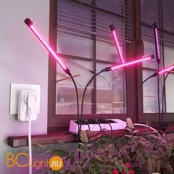 Розетка Elektrostandard WF 76100/00 a054335 - Фото 2