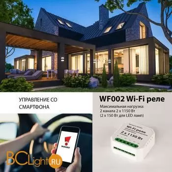 Wi-Fi модуль Elektrostandard WF WF002 a047991 - Фото 2