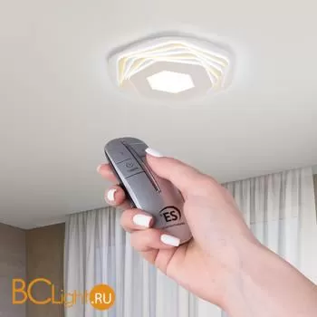 2-канальный контроллер для дистанционного управления освещением Elektrostandard Y9 a042747 - Фото 0