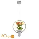 Подвесной светильник Escada 10213/S LED - Фото 0
