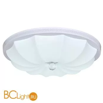Потолочный светильник Escada 10231/S LED