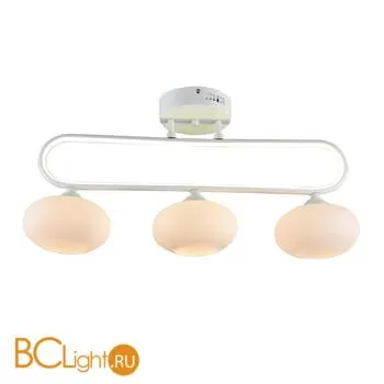 Потолочный светильник Escada 10237/3LED