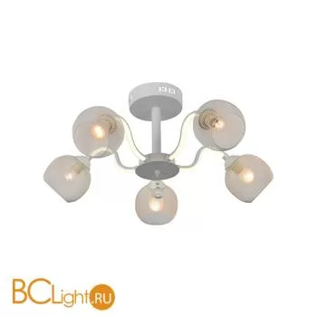 Потолочная люстра Escada 10238/5LED