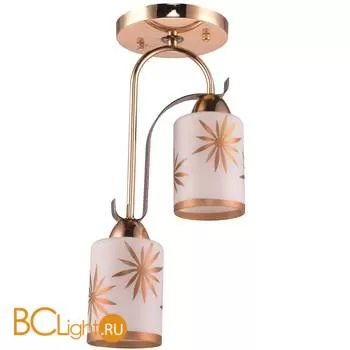 Потолочный светильник Escada 191/2S