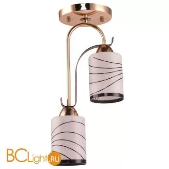 Потолочный светильник Escada 192/2S