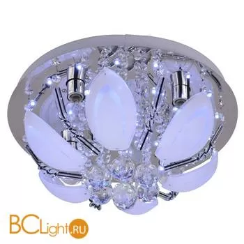 Потолочный светильник Escada 252R/4PL