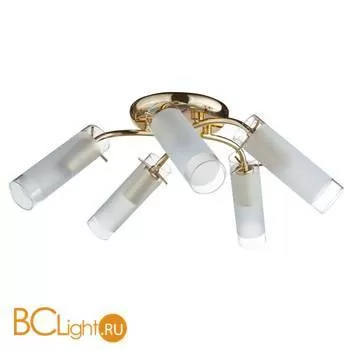 Потолочная люстра Escada 379/5PL