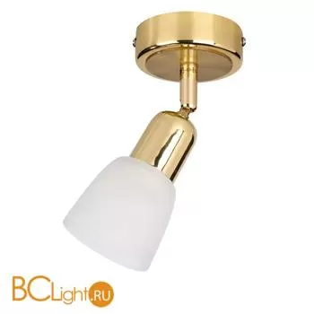 Cпот (точечный светильник) Escada 5039/1PA