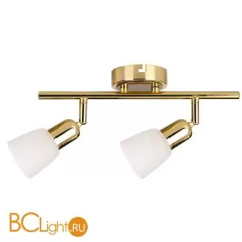 Cпот (точечный светильник) Escada 5039/2PA