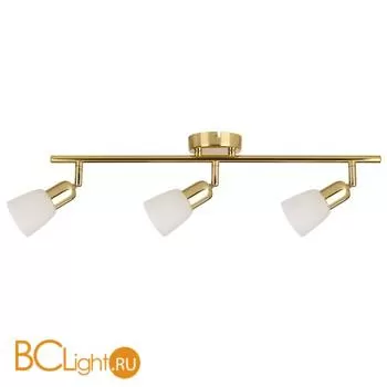 Cпот (точечный светильник) Escada 5039/3PA