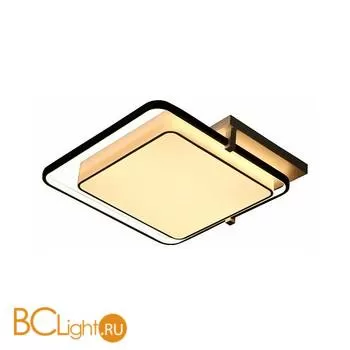 Потолочный светильник Escada 10242/2LED