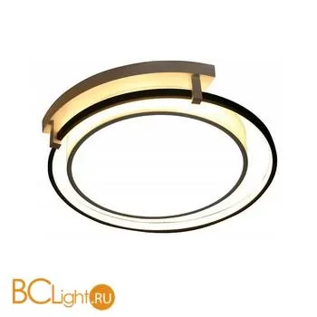 Потолочный светильник Escada 10243/2LED