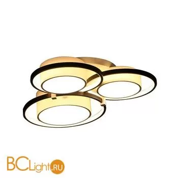 Потолочный светильник Escada 10243/6LED