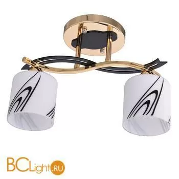 Потолочный светильник Escada 203/2PL