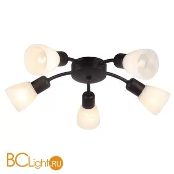 Потолочная люстра Escada 205/5PL