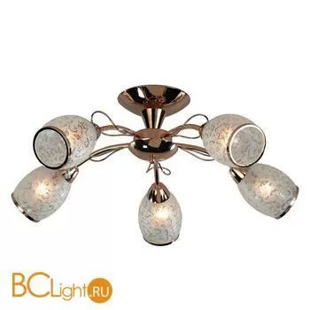 Потолочная люстра Escada 015/5PL