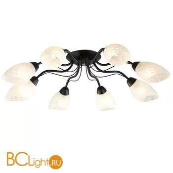 Потолочная люстра Escada 018/8PL