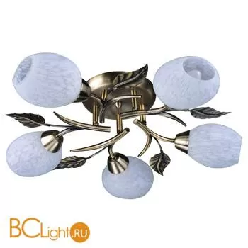 Потолочная люстра Escada 038/5PL