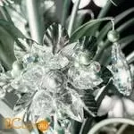 Люстра Eurolampart Blue bell 2702/12LA 3900 - Фото 0