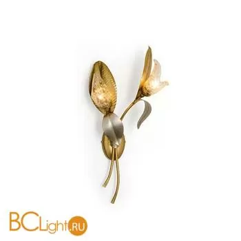 Бра Eurolampart Bocca di leone 2362/02AP 3708