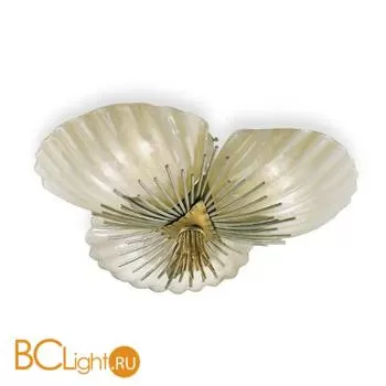 Потолочный светильник Eurolampart Conchiglia 2269/09PL 3688