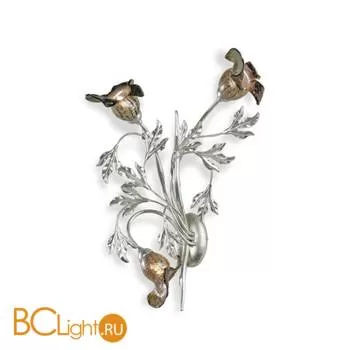 Бра Eurolampart Filoargento 1049/03AP 3007