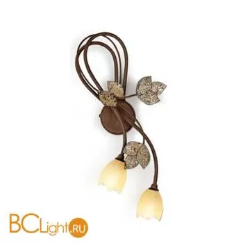 Бра Eurolampart Itaca 2227/02AP 3705