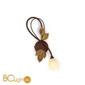 Бра Eurolampart Itaca 2227/01AP 3119