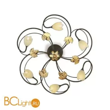 Потолочный светильник Eurolampart Itaca 2227/06PL 3705