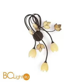 Бра Eurolampart Itaca 2227/03AP 3705