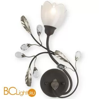 Бра Eurolampart Siena 1211/01AP 3912