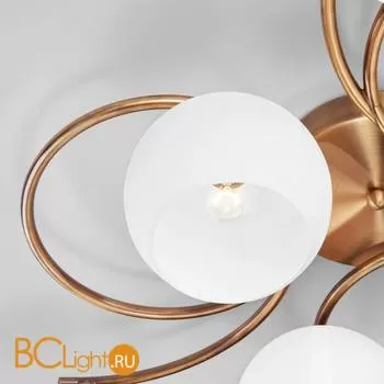 Потолочная люстра Eurosvet Alba 30144/6 античная бронза - Фото 0