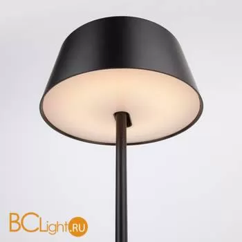 Настольная лампа Eurosvet Apollo 80424/1 черный - Фото 2