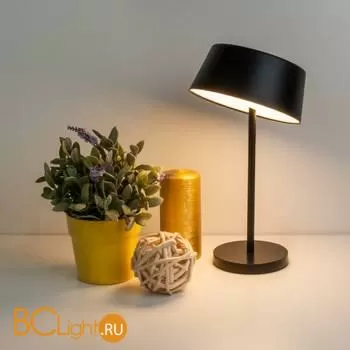 Настольная лампа Eurosvet Apollo 80424/1 черный - Фото 4