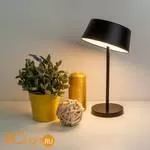 Настольная лампа Eurosvet Apollo 80424/1 черный - Фото 4