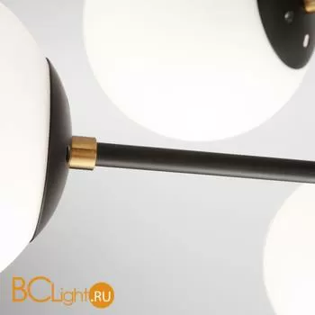 Потолочная люстра Eurosvet Austin 70091/8 черный - Фото 2