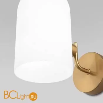 Настенный светильник Eurosvet Bambola new 60157/1 латунь a065042 - Фото 0