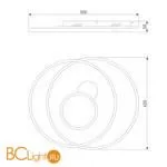 Потолочный светильник Eurosvet Caroline 90256/1 a057130 - Фото 5