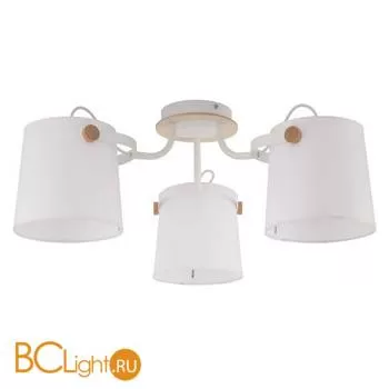 Потолочная люстра Eurosvet Click 1253