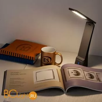 Настольная лампа Eurosvet Desk черный/серый (TL90450) 3W - Фото 6