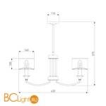 Потолочная люстра Eurosvet Diana 60067/5 сатин-никель - Схема