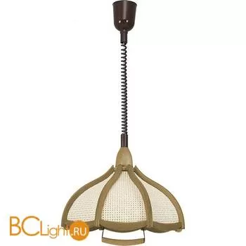 Подвесной светильник Eurosvet Eco 01621