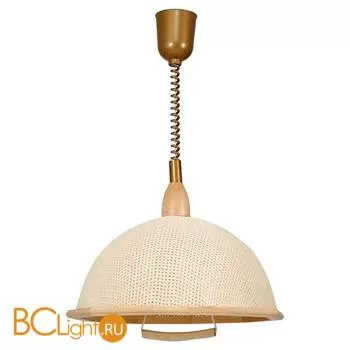 Подвесной светильник Eurosvet Eco 01320