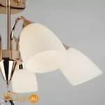 Потолочная люстра Eurosvet Ellene 30149/5 золото - Фото 0