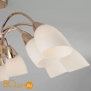 Потолочная люстра Eurosvet Ellene 30149 золото - Фото 0