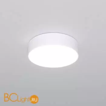 Потолочный светильник Eurosvet Entire new 90318/1 белый a063076