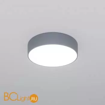 Потолочный светильник Eurosvet Entire new 90318/1 серый a062827