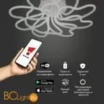 Потолочный светильник Eurosvet Floret 90235/8 белый - Фото 1