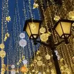 Гирлянда Eurosvet 400-101 теплый белый с эффектом мерцания 10м IP65 a044073 - Фото 0