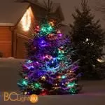 Гирлянда Eurosvet 400-101 мульти с эффектом мерцания 10м IP65 a044074